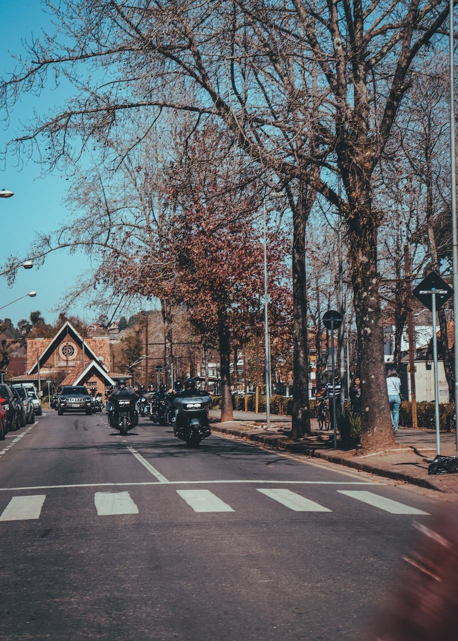 Passeio 2021 4